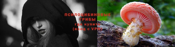 МДПВ Абинск