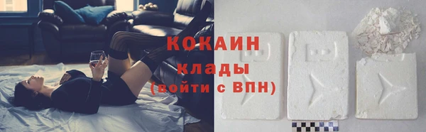 прущие грибы Сафоново